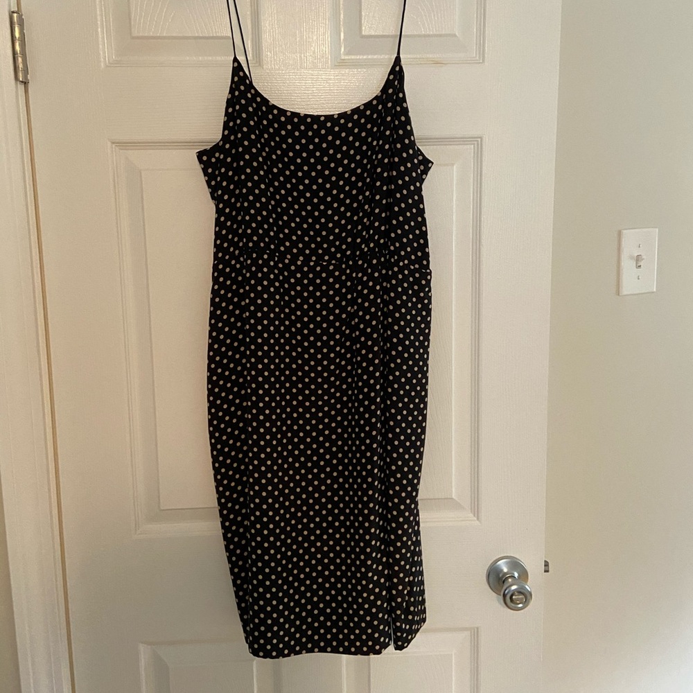 JCrew polka dot dress